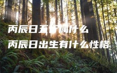 丙辰日五行属什么  丙辰日出生有什么性格