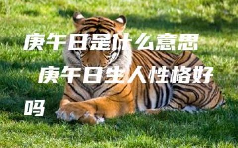 庚午日是什么意思  庚午日生人性格好吗