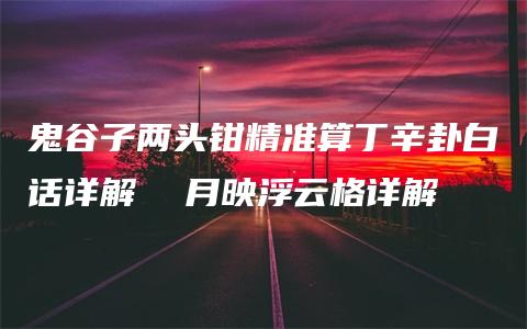 鬼谷子两头钳精准算丁辛卦白话详解  月映浮云格详解