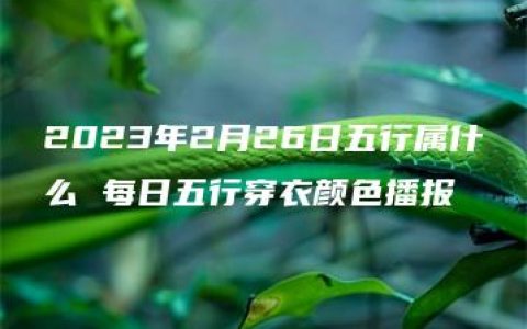 2023年2月26日五行属什么 每日五行穿衣颜色播报