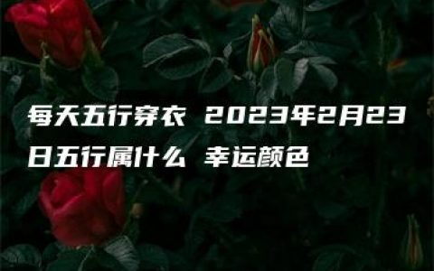 每天五行穿衣 2023年2月23日五行属什么 幸运颜色