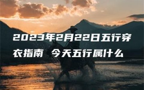 2023年2月22日五行穿衣指南 今天五行属什么