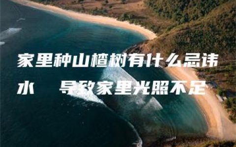 家里种山楂树有什么忌讳風水  导致家里光照不足