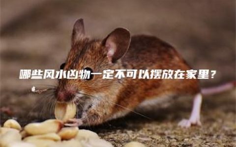 哪些风水凶物一定不可以摆放在家里？