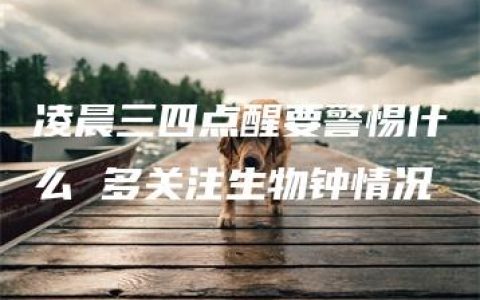 凌晨三四点醒要警惕什么 多关注生物钟情况