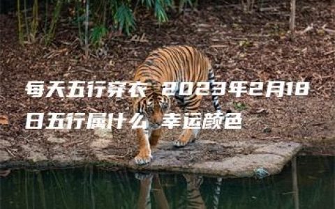 每天五行穿衣 2023年2月18日五行属什么 幸运颜色