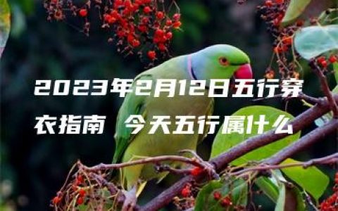 2023年2月12日五行穿衣指南 今天五行属什么