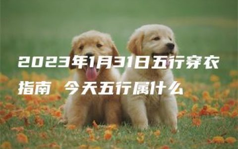 2023年1月31日五行穿衣指南 今天五行属什么