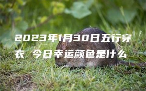 2023年1月30日五行穿衣 今日幸运颜色是什么