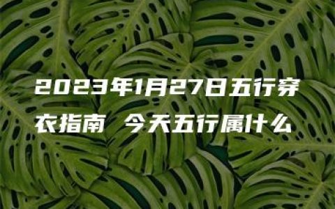 2023年1月27日五行穿衣指南 今天五行属什么