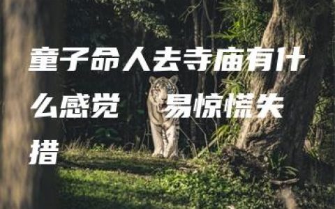 童子命人去寺庙有什么感觉  易惊慌失措