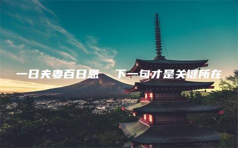 一日夫妻百日恩  下一句才是关键所在