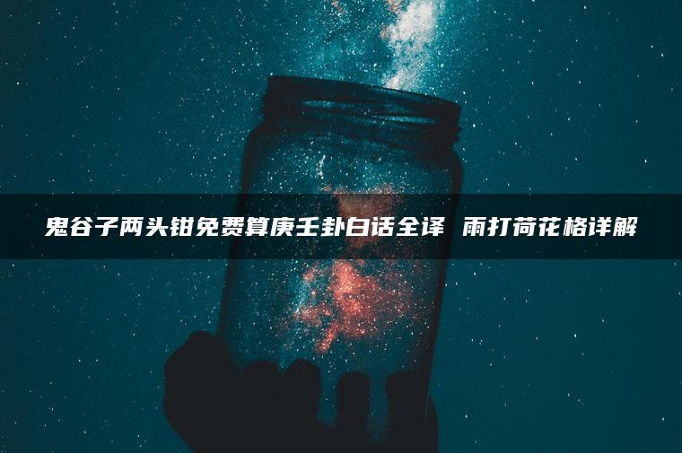 鬼谷子两头钳免费算庚壬卦白话全译 雨打荷花格详解