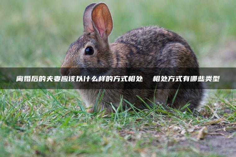 离婚后的夫妻应该以什么样的方式相处  相处方式有哪些类型