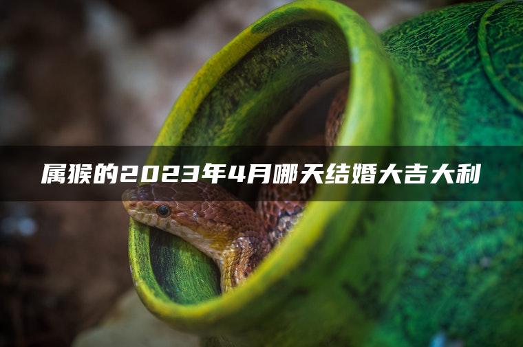 属猴的2023年4月哪天结婚大吉大利