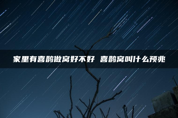 家里有喜鹊做窝好不好 喜鹊窝叫什么预兆