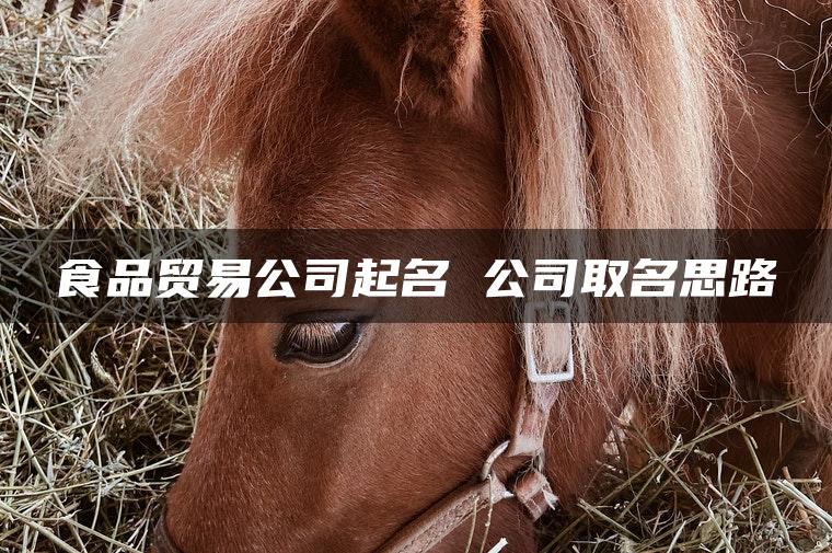 食品贸易公司起名 公司取名思路