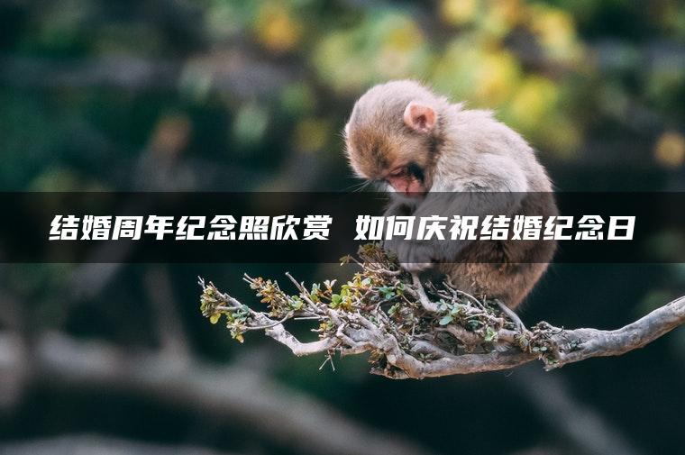 结婚周年纪念照欣赏 如何庆祝结婚纪念日