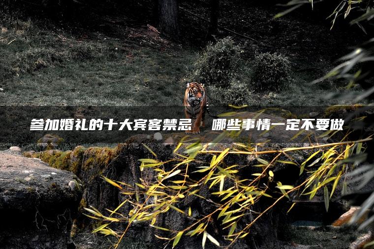 参加婚礼的十大宾客禁忌  哪些事情一定不要做
