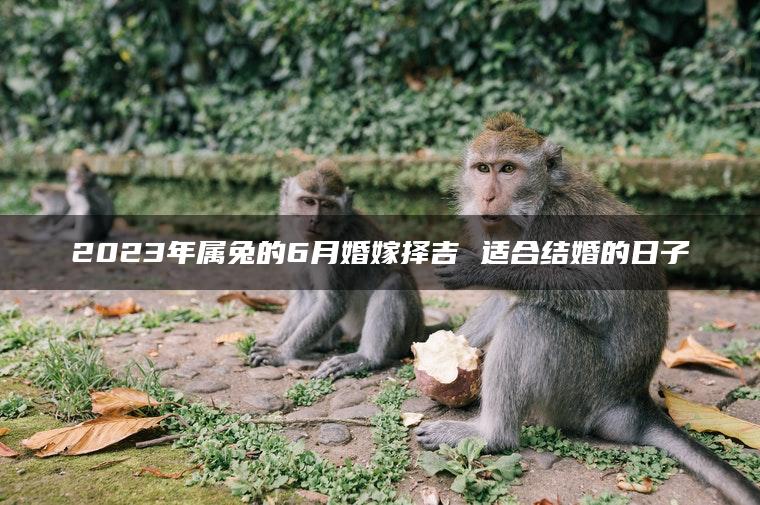 2023年属兔的6月婚嫁择吉 适合结婚的日子