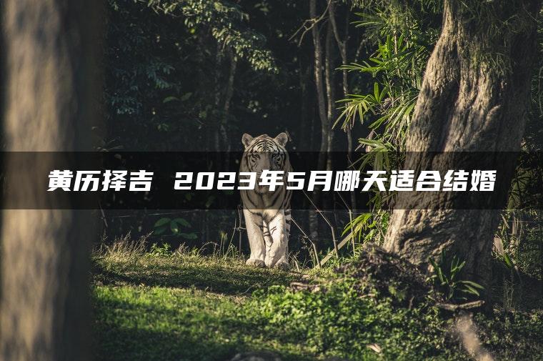 黄历择吉 2023年5月哪天适合结婚