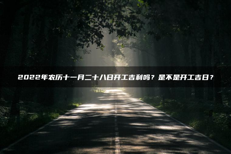 2022年农历十一月二十八日开工吉利吗？是不是开工吉日？