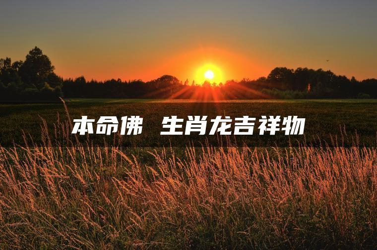 本命佛 生肖龙吉祥物