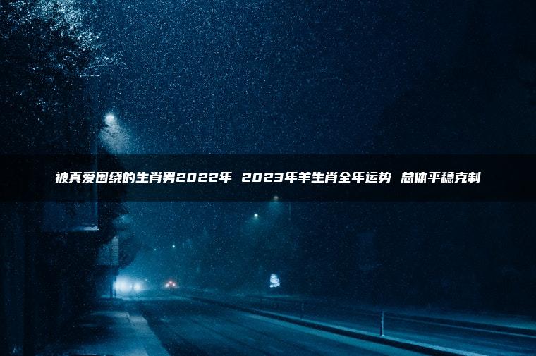 被真爱围绕的生肖男2022年 2023年羊生肖全年运势 总体平稳克制