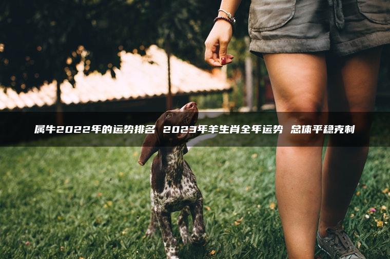 属牛2022年的运势排名 2023年羊生肖全年运势 总体平稳克制