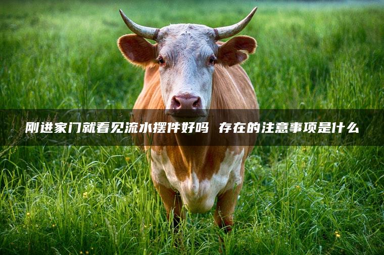 刚进家门就看见流水摆件好吗 存在的注意事项是什么