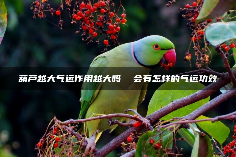 葫芦越大气运作用越大吗  会有怎样的气运功效