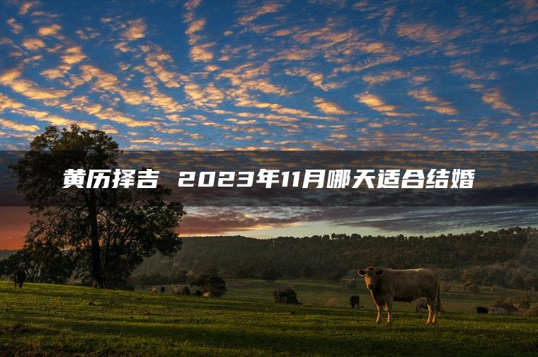 黄历择吉 2023年11月哪天适合结婚