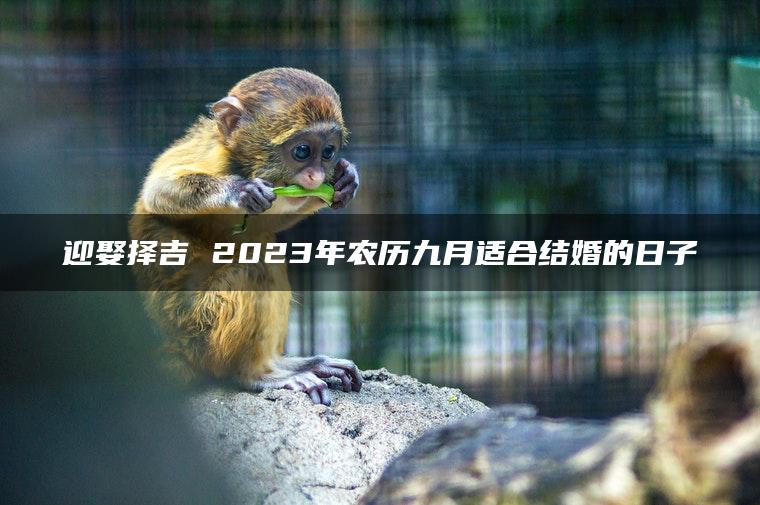 迎娶择吉 2023年农历九月适合结婚的日子