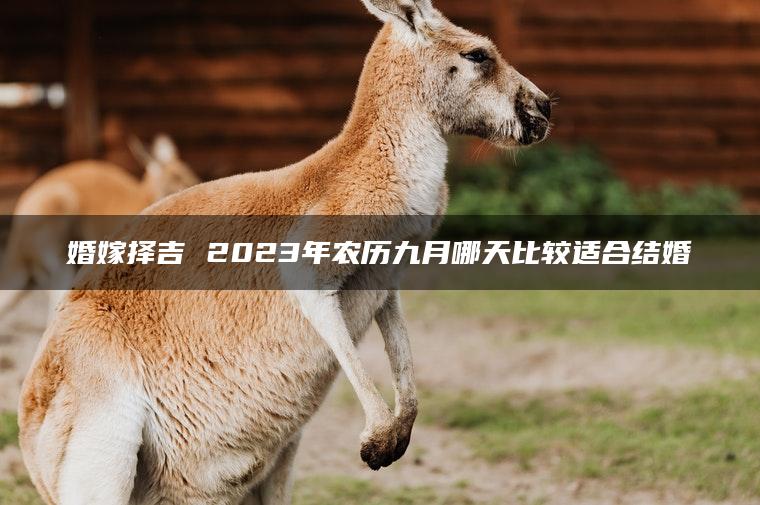 婚嫁择吉 2023年农历九月哪天比较适合结婚