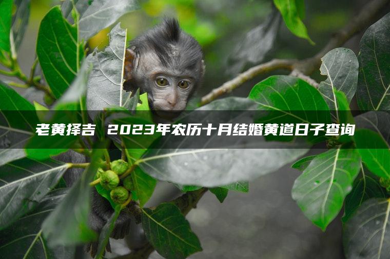 老黄择吉 2023年农历十月结婚黄道日子查询