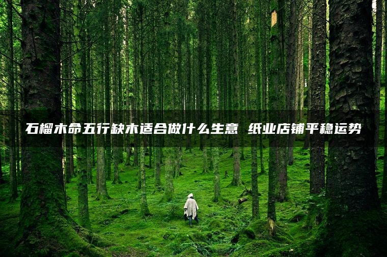 石榴木命五行缺木适合做什么生意 纸业店铺平稳运势