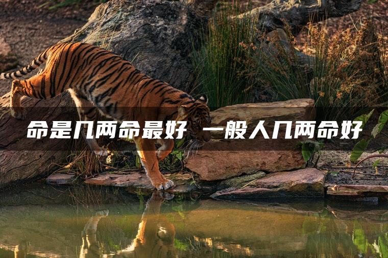 命是几两命最好 一般人几两命好