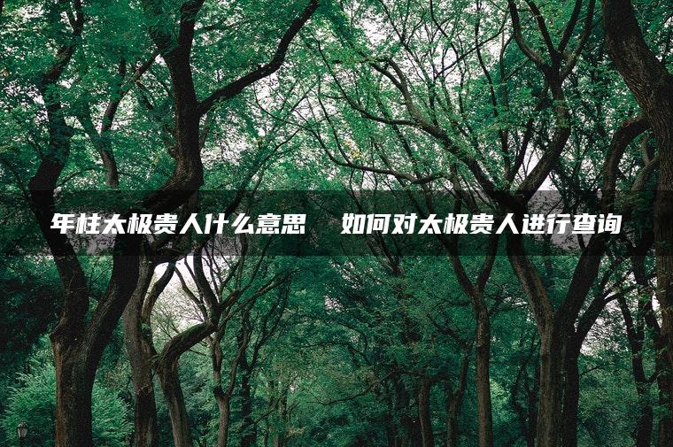 年柱太极贵人什么意思  如何对太极贵人进行查询