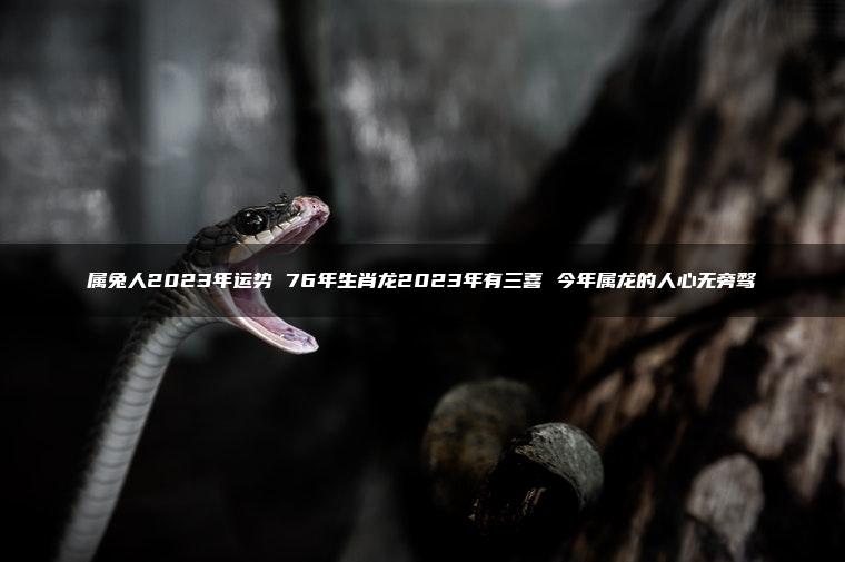 属兔人2023年运势 76年生肖龙2023年有三喜 今年属龙的人心无旁骛