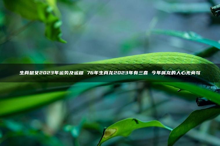 生肖鼠女2023年运势及运程 76年生肖龙2023年有三喜 今年属龙的人心无旁骛