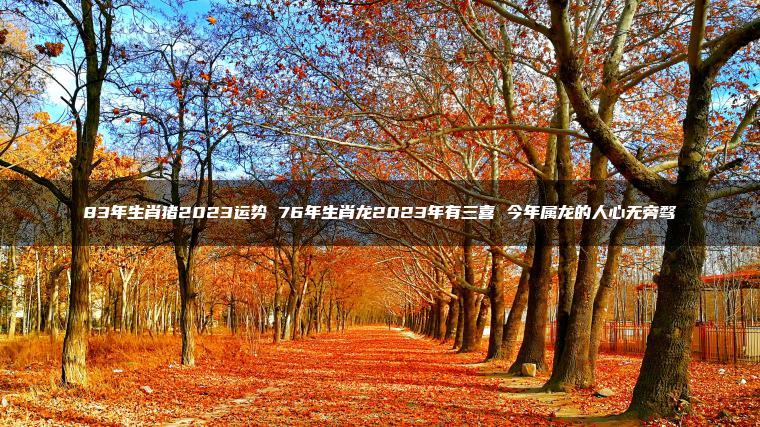83年生肖猪2023运势 76年生肖龙2023年有三喜 今年属龙的人心无旁骛