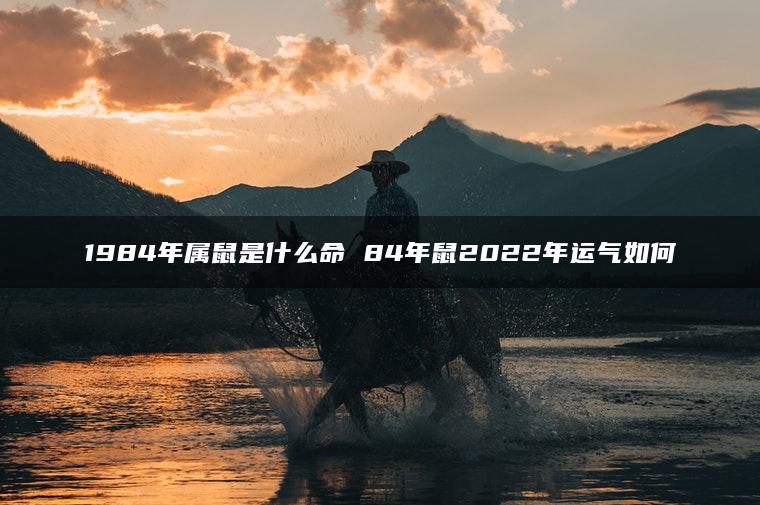 1984年属鼠是什么命 84年鼠2022年运气如何