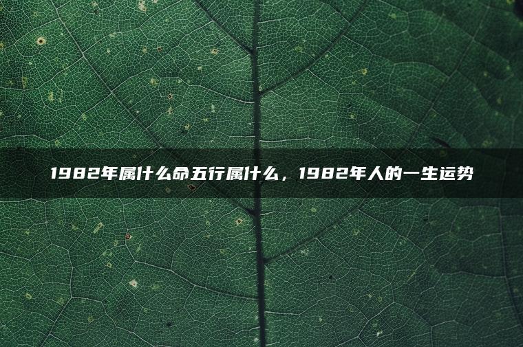 1982年属什么命五行属什么，1982年人的一生运势