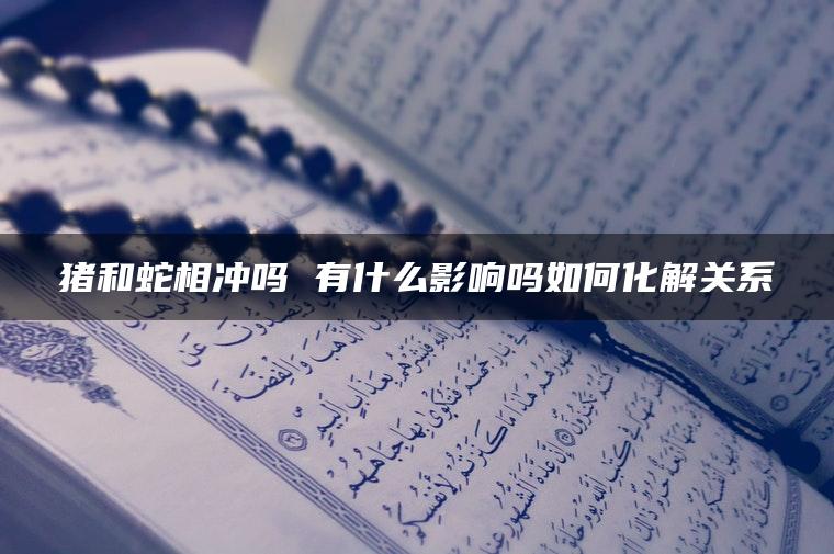 猪和蛇相冲吗 有什么影响吗如何化解关系