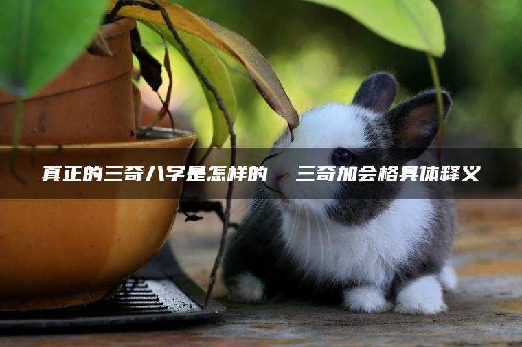 真正的三奇八字是怎样的  三奇加会格具体释义