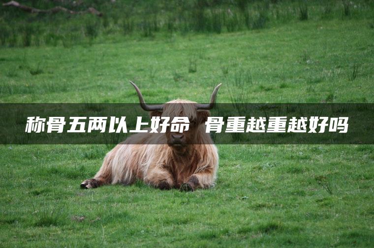 称骨五两以上好命 骨重越重越好吗