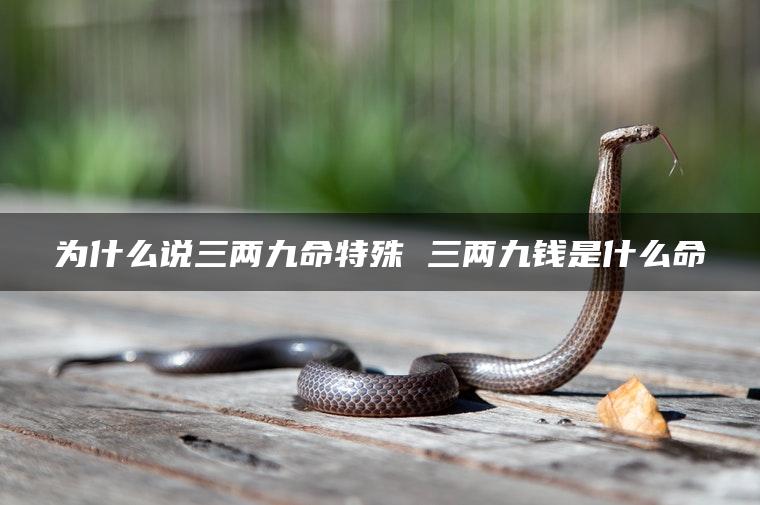 为什么说三两九命特殊 三两九钱是什么命