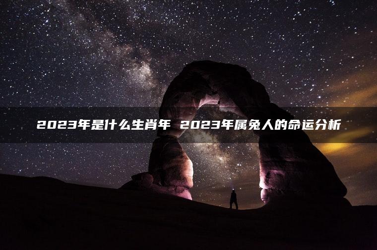 2023年是什么生肖年 2023年属兔人的命运分析