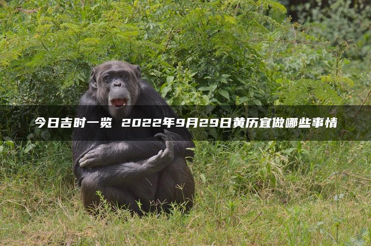 今日吉时一览 2022年9月29日黄历宜做哪些事情