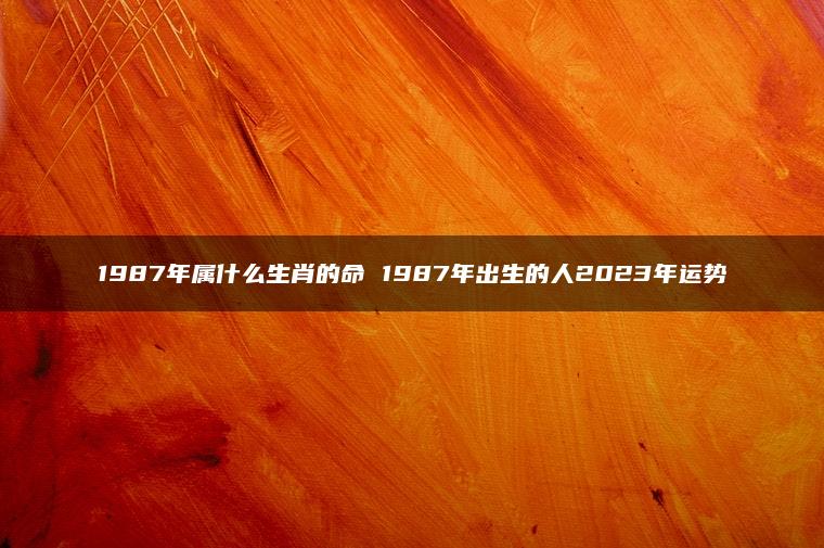 1987年属什么生肖的命 1987年出生的人2023年运势